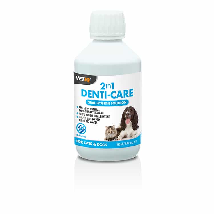VetIQ 2in1 Denti-Care Στοματικό Διάλυμα 