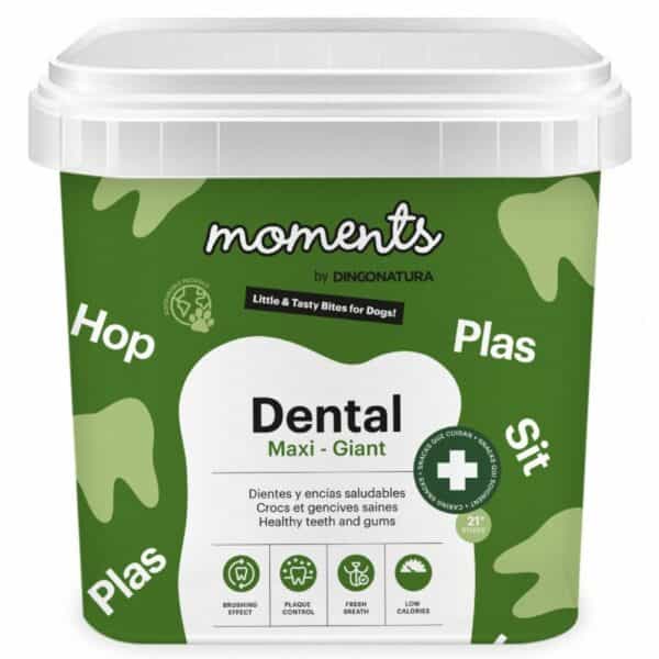 MOMENTS FUNCTIONAL Dental Maxi-Giant (21 sticks)